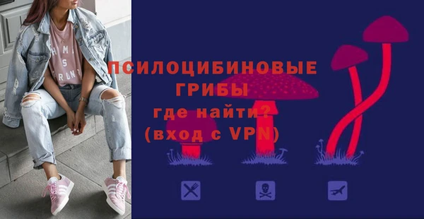 a pvp Абаза