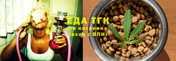 индика Дмитровск