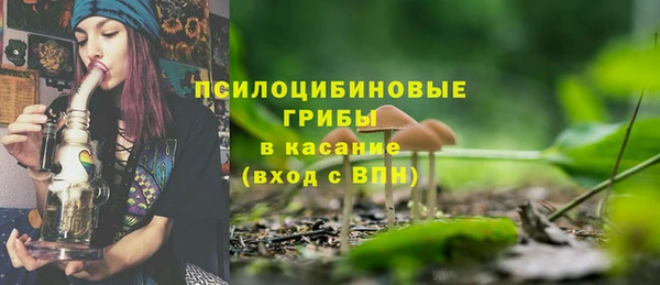 a pvp Абаза