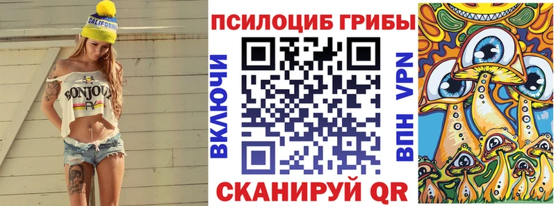 Галлюциногенные грибы MAGIC MUSHROOMS  купить наркоту  Власиха 